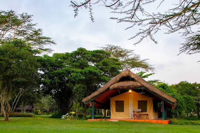 Sweetwaters Tented Camp, Ol Pejeta Conservancy